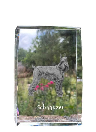 Artdog Schnauzer, Schnauzer - krištáľ s fotkou psa, foto v skle, moderná výstava fotografií Art-Dog