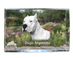 Artdog Argentínsky pes, Dogo Argentino - krištáľ s fotkou psa, foto v skle, moderná výstava fotografií od Art-Dog