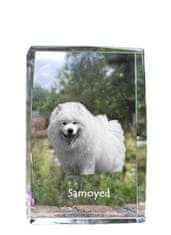 Artdog Samojed, Samojed, Samojedskaja - krištáľ s fotkou psa, foto v skle, moderná výstava fotografií od Art-Dog