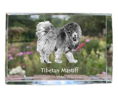 Artdog Tibetská doga, tibetská doga - krištáľ s fotkou psa, foto v skle, moderná výstava fotografií značky Art-Dog