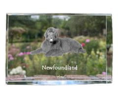 Artdog Newfoundland, Newfoundland, Wodołaz - krištáľ s fotkou psa, foto v skle, moderná výstava fotografií značky Art-Dog