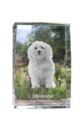 Artdog Havanese, Havanese - krištáľ s fotkou psa, foto v skle, moderná výstava fotiek od Art-Dog