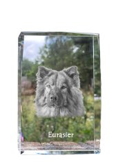 Artdog Eurasier, eurázijský - krištáľ s fotkou psa, foto v skle, moderná výstava fotografií od Art-Dog