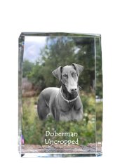 Artdog Doberman, Dobermann I - krištáľ s fotkou psa, foto v skle, moderná výstava fotografií značky Art-Dog