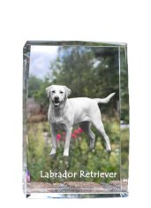 Artdog Labradorský retriever I - krištáľ s fotkou psa, foto v skle, moderná výstava fotiek od Art-Dog