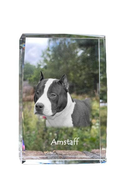 Artdog Americký stafordšírsky teriér, Amstaff, Amstaf - krištáľ s fotkou psa, foto v skle, moderná výstava fotografií od Art-Dog