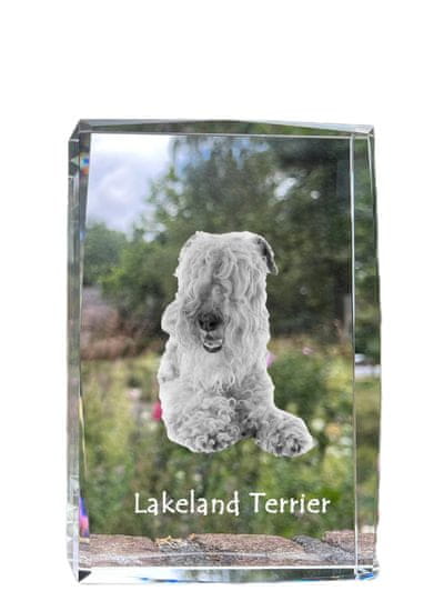 Artdog Lakeland teriér - krištáľ s fotkou psíka, foto v skle, moderná výstava fotiek od Art-Dog