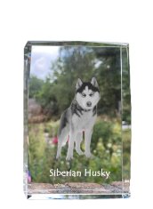 Artdog Sibírsky husky, Sibírsky husky - krištáľ s fotkou psa, foto v skle, moderná výstava fotografií od Art-Dog