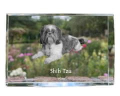 Artdog Shih Tzu, Shi tsu, Shi-Tzu, Szi-cu, Szitzu - krištáľ s fotkou psa, foto v skle, moderná výstava fotografií Art-Dog