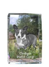 Artdog Cardigan Welsh Corgi I - krištáľ s fotkou psa, foto v skle, moderná výstava fotiek od Art-Dog