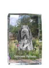 Artdog Taliansky drôtosrstý stavač, Spinone italiano - krištáľ s fotkou psa, foto v skle, moderná výstava fotografií od Art-Dog