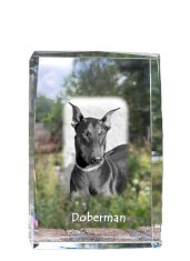 Artdog Doberman, Dobermann - krištáľ s fotkou psa, foto v skle, moderná výstava fotiek od Art-Dog