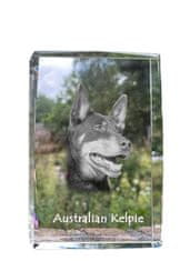 Artdog Austrálsky ovčiak kelpie - krištáľ s fotkou psa, foto v skle, moderná výstava fotiek od Art-Dog