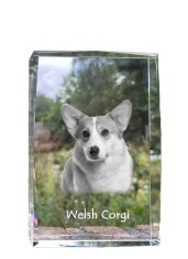 Artdog Pembroke Welsh Corgi - krištáľ s fotkou psa, foto v skle, moderná výstava fotiek od Art-Dog