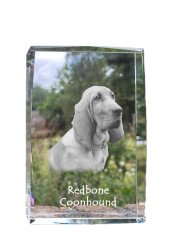 Artdog Redbone Coonhound - krištáľ s fotkou psa, foto v skle, moderná výstava fotiek od Art-Dog