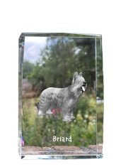 Artdog Francúzsky ovčiak Briard, Berger de Brie - krištáľ s fotkou psa, foto v skle, moderná výstava fotografií od Art-Dog