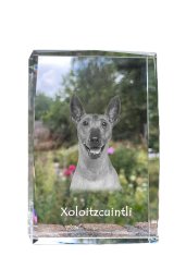 Artdog Nahý mexický pes, Bezsrstý aztécky pes, Xoloitzquintle - krištáľ s fotkou psa, fotografia v skle, moderná výstava fotografií od Art-Dog