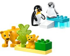 LEGO DUPLO 10442 Rodinky divokých zvierat: Tučniaky a levy