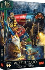 Trefl Puzzle Premium Plus Magic Collection: Witchwood Expres 1000 dielikov