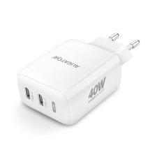 Aligator Nabíječka do sítě Power Delivery 40W, 2xUSB-C + USB-C kabel - bílá