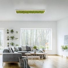 PAUL NEUHAUS JUST LIGHT LED stropné svietidlo hranaté islandský mach do interiéru SimplyDim 3000K LD 15623-66