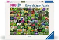 Ravensburger Puzzle 99 byliniek 1000 dielikov