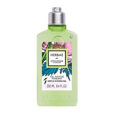 LOccitane En Provenc Sprchový gél Herbae (Shower Gel) 250 ml