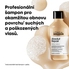 Loreal Professionnel Regeneračný šampón pre veľmi poškodené vlasy Serie Expert Absolut Repair Gold Quinoa + Protein (Inst (Objem 300 ml)