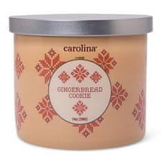 Colonial Candle Sviečka v sklenenom valci , Perníkové sušienky, 396 g