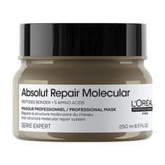 Loreal Professionnel Maska pre poškodené vlasy Absolute Repair Molecular (Professional Mask) (Objem 250 ml)