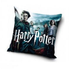 Carbotex Obliečka na vankúšik Harry Potter a Čarodejníkovi učni 40x40 cm