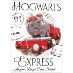 Carbotex Detský uterák Harry Potter - Rokfortský Express