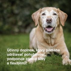 DogBarKode Výživové doplnky pre psov, mäkké psie maškrty na kĺby a pohyblivosť, glukozamín, chondroitín a zelená mušľa, prirodzená podpora pre všetkých psov, 30 mäkkých žuvacích maškŕt, MobilityChew