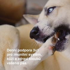 DogBarKode Pokročilý každodenný doplnok výživy pre psov, psie maškrty, podporujú imunitný systém, kĺby a pokožku, konope, glukozamín a probiotiká, lahodná maškrta pre všetkých psov, 30 kusov, MultiChew