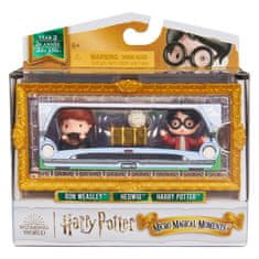 Spin Master SpinMaster HARRY POTTER Dvojbalenie Mini figúrok Harry a Ron s doplnkami