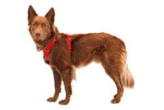 RUFFWEAR Front Range Postroj pre psov Red Canyon S