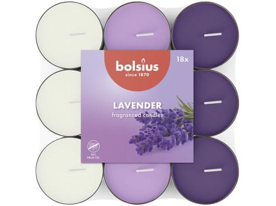 Bolsius Čajové 18ks Lavender basic trojfarebné, vonné sviečky