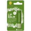 Regeneračný balzam pre suché pery Care & Repair (Lip Balm) 4,6 g