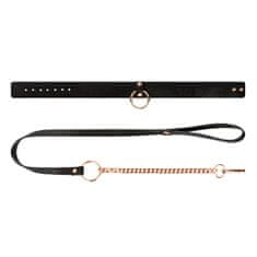 Rosy Gold Rosy Gold Collar with Leash (Black), obojok s vodítkom