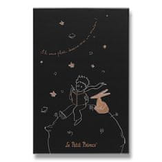 Moleskine Zápisník Le Petit Prince - tvrdé dosky L, linajkový, zberateľská edícia