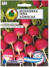 Pnos Tetra reďkovka Iłówiecka páska 6m Jarná a jesenná zemná odroda