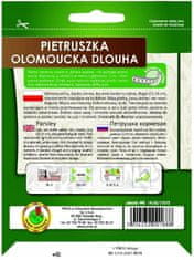 Pnos Petržlen Olomouc 300 semien na 6m páske neskorá odroda vysoké výnosy