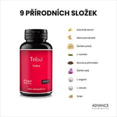 Advance nutraceutics Tribul 60 kapsúl