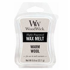 Vonný vosk Warm Wool 22,7 g