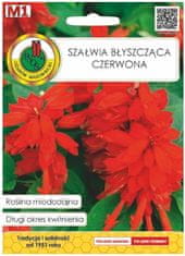 Pnos Semená šalvie červenej lesklej 0,5 g Medovka okrasná liečivá