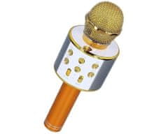 R2Invest Karaoke mikrofón WS-858 GOLD