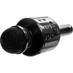 R2Invest Karaoke mikrofón WS-858 BLACK