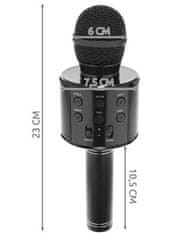 R2Invest Karaoke mikrofón WS-858 BLACK