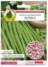 Pnos Fazuľa zelená esterová 30g Raná trpasličia odroda