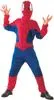 Kostým Pavúčí hrdina